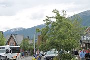 05 - Jasper - IMG_1254